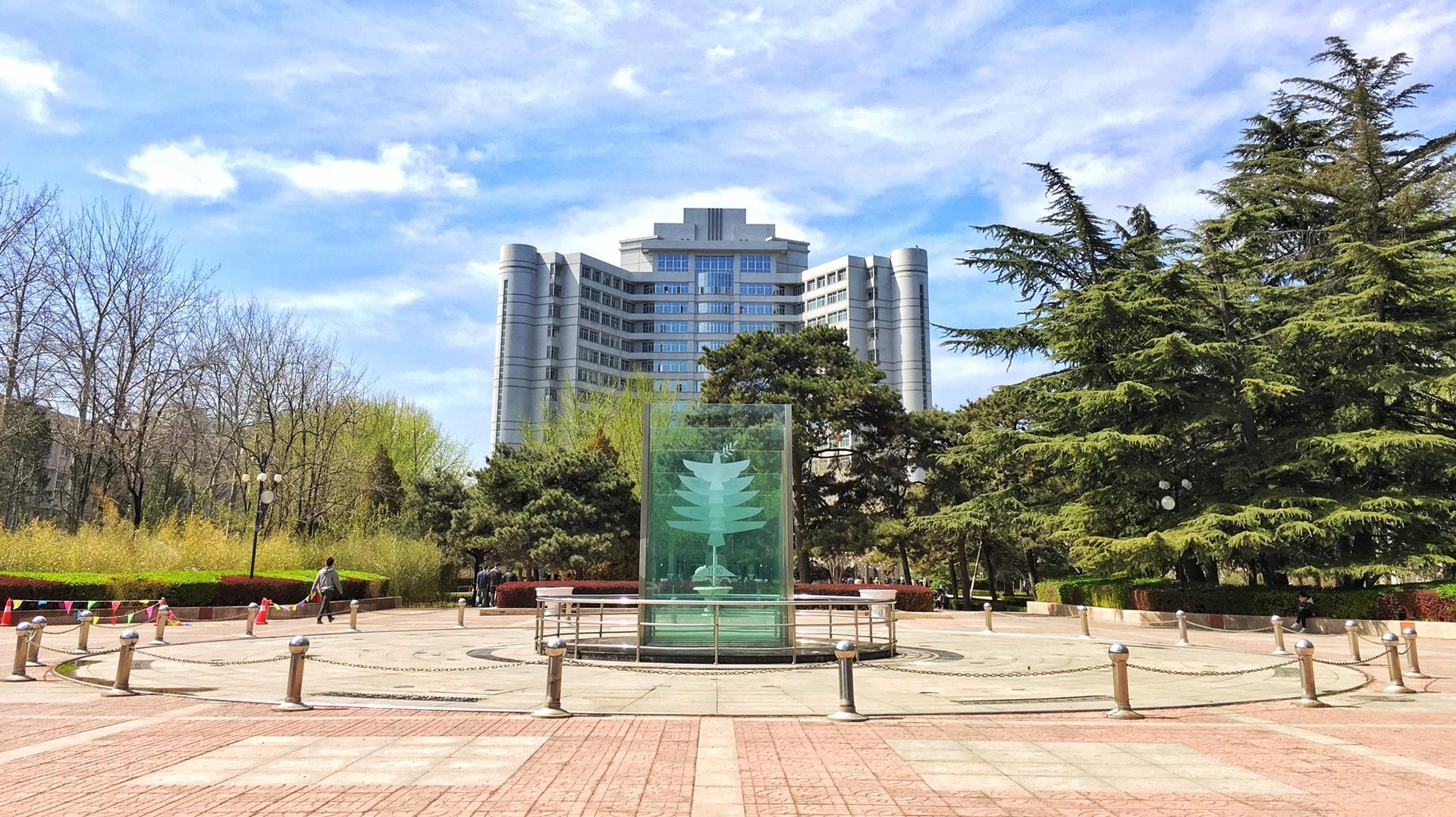 全面卓越五育并举当领军